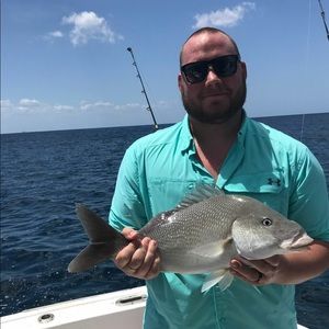 Meet your Posher, Jake